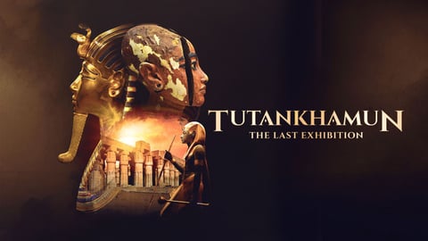 Tutankhamun: The Last Exhibition cover image