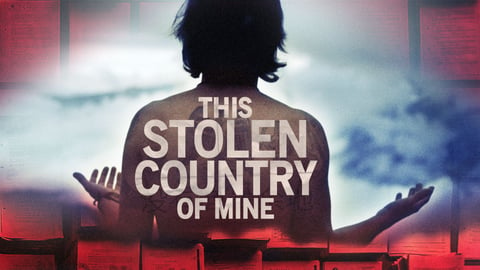 This Stolen Country of Mine cover image