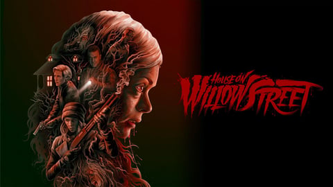 House on Willow Street cover image