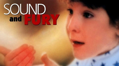 Sound and Fury cover image