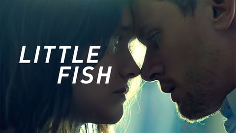 Little Fish cover image