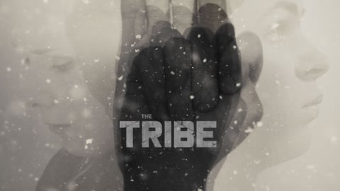 The Tribe cover image