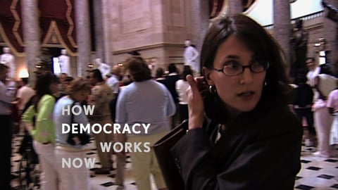 How Democracy Works Now cover image