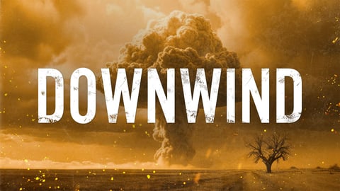 Downwind cover image