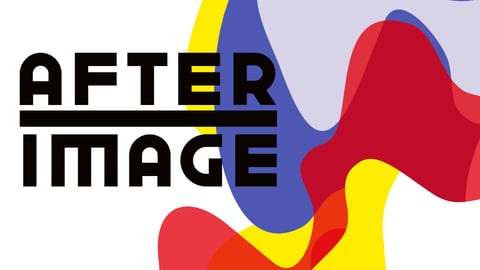 Afterimage cover image