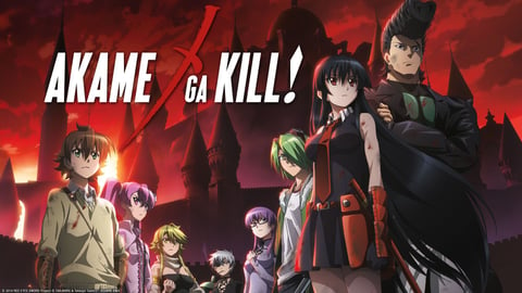 Akame ga Kill! cover image