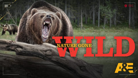 Nature Gone Wild cover image