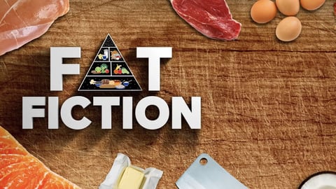 Fat Fiction cover image