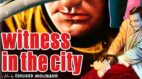 Witness in the City cover image