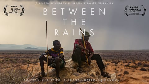 Between the Rains cover image