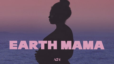 Earth Mama cover image