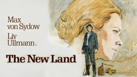 The New Land cover image