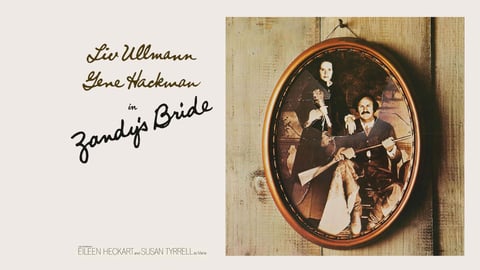 Zandy's Bride cover image