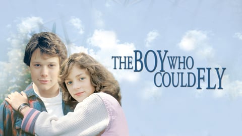 The Boy Who Could Fly cover image