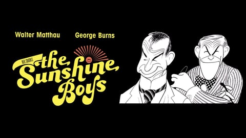 The Sunshine Boys cover image