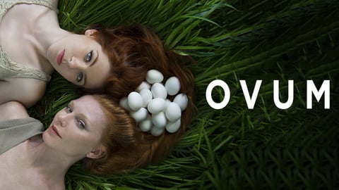 Ovum cover image