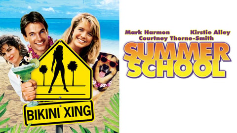 Summer School cover image