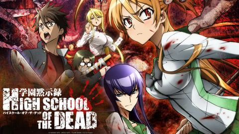 High School of the Dead cover image