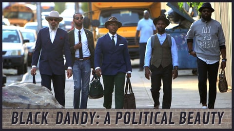 Black Dandy: A Political Beauty cover image