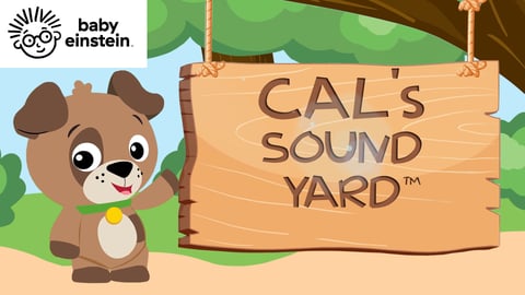 Baby Einstein: Cal's Sound Yard cover image
