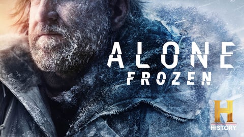 Alone: Frozen cover image