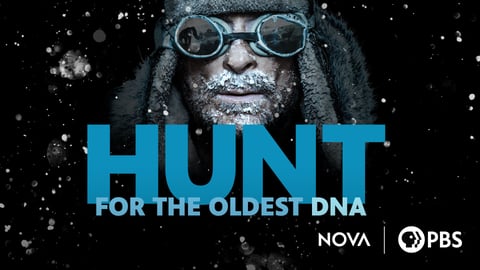 Hunt for the Oldest DNA cover image