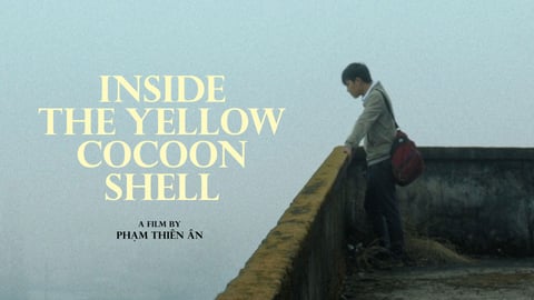 Inside the Yellow Cocoon Shell cover image