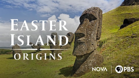 Easter Island Origins cover image
