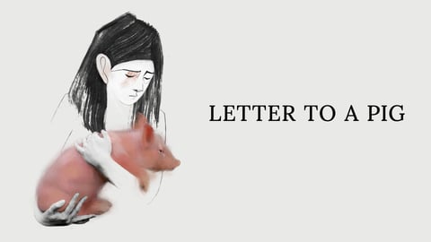 Letter to a Pig cover image