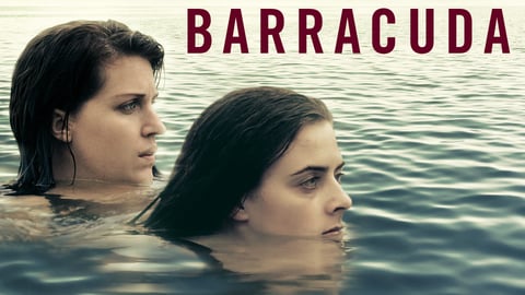 Barracuda cover image