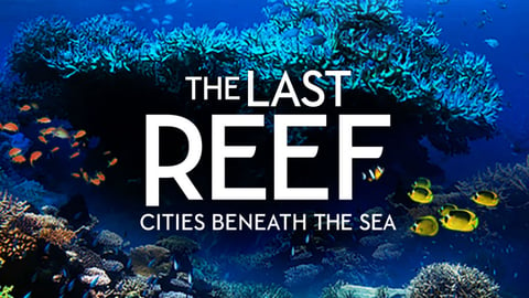 The Last Reef cover image