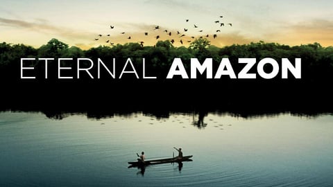 Eternal Amazon (Amazonia Eterna)