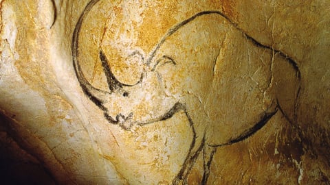 Ancient Cave Art-Chauvet, France cover image