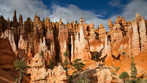 Bryce Canyon-Creative Carvings of Erosion cover image