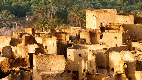 Siwa Oasis-Paradise amidst Desolation cover image