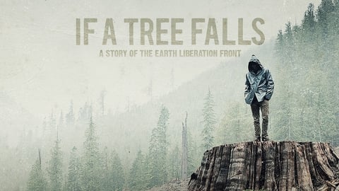 If A Tree Falls cover image