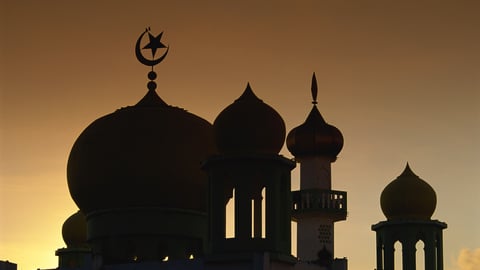 The Rise and Flourishing of Islam cover image