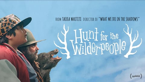 Hunt for the wilderpeople cover image