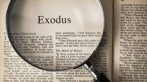 The Exodus - Did It Happen? cover image