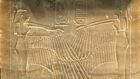 Dynasty XXII - Egypt United cover image
