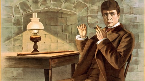 Sherlock Holmes--The First Great Detective cover image