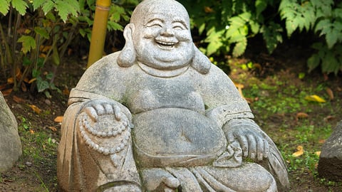 Lotus Kick and Laughing Buddha cover image