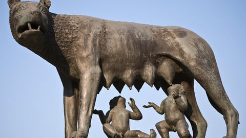 Romulus, Remus, and Rome's Origins cover image