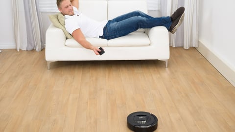 Mobile Robots at Home cover image