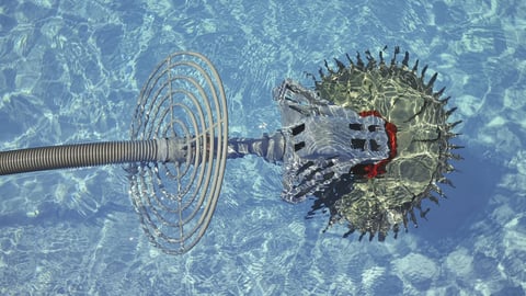 Underwater Robots That Hover and Glide cover image