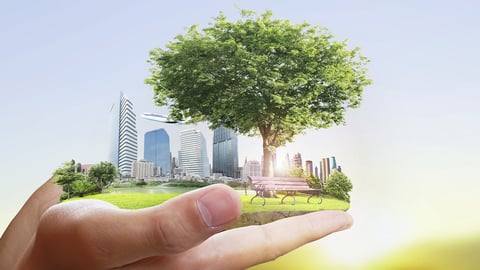 Sustainable Building Choices cover image