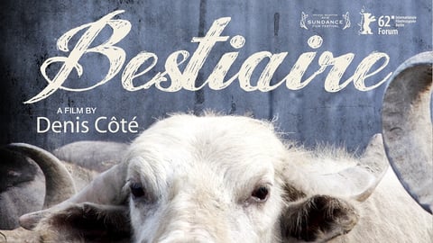 Bestiaire cover image