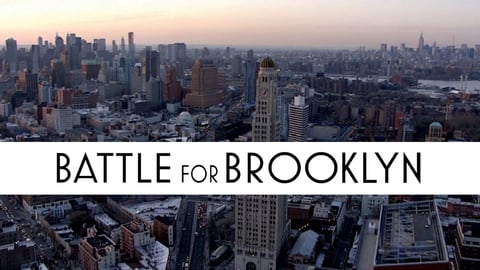 Battle for Brooklyn : Fighting to save a New York community cover image
