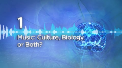 Culture, Biology, or Both? cover image