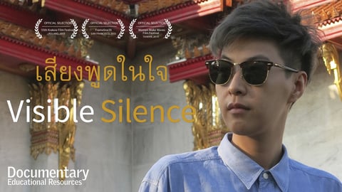 Visible Silence cover image